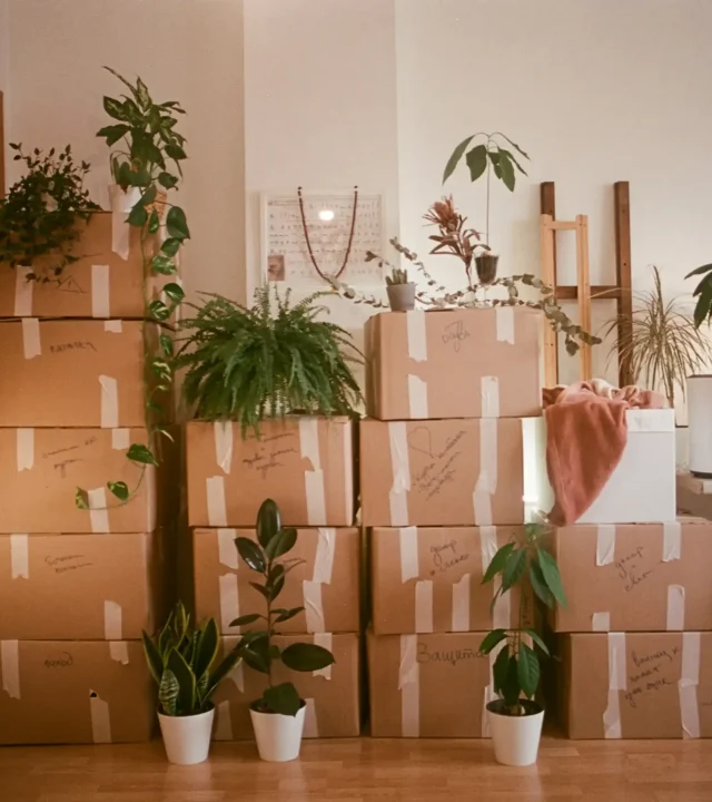 Flyttkartonger staplade i ett hem inför eller efter en flytt.